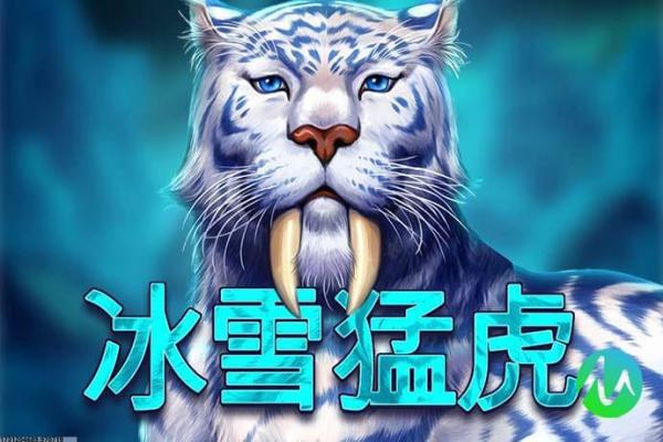 《魔兽世界》奇幻任务攻略：探索艾泽拉斯的秘密